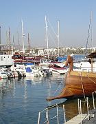 DSC02888 - Pafos Hafen